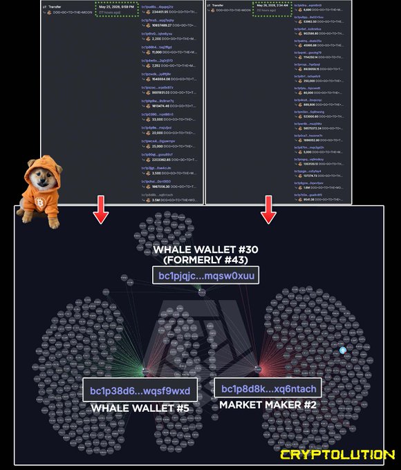In the image, there are two charts placed side by side. The left chart shows a bar graph representing cryptocurrency trading volume across various CEXs (cross-exchange marketplaces), including Bitget, Gate, MEXC, and Kraken. The right chart depicts the price movements of different wallets in Bitcoin, with some fluctuations between $30K to $70K. 

A cartoon image of a dog wearing an orange shirt is present near these charts, adding a playful touch to the otherwise serious topic of cryptocurrency trading.