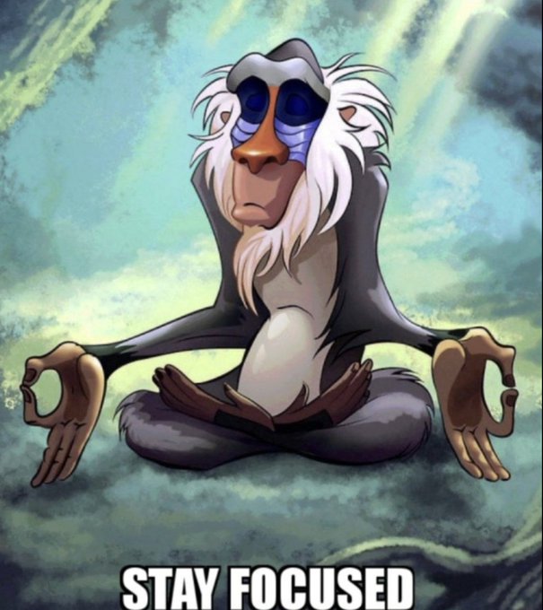 An illustration of Rafiki from The Lion King meditating in a lotus pose with the caption 'STAY FOCUSED' at the bottom.