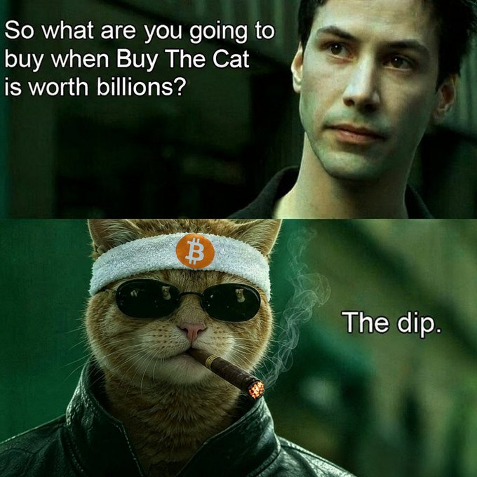 A two-panel meme featuring Neo from The Matrix above a cat wearing sunglasses and a Bitcoin headband smoking a cigar; text reads 'So what are you going to buy when Buy The Cat is worth billions?' and 'The dip.'