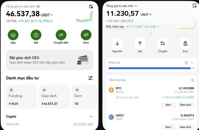 Two cryptocurrency portfolio screens in Vietnamese showing USDT balances of 46,537.38 and 11,230.57 with BTC and USDC holdings, featuring deposit, withdrawal, and earn function buttons.