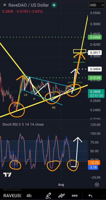 TradingView chart of RaveDAO (RAVE) / US Dollar showing technical analysis annotations including LS, H, RS labels, trendlines, and Stochastic RSI indicator at the bottom with values 10.29 and 3.78.
