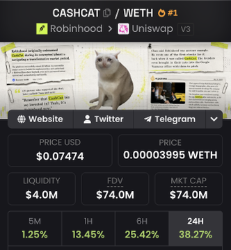 The image shows a crypto token dashboard for CASHCAT/WETH trading pair on Robinhood and Uniswap v3, featuring an anthropomorphized cat character on the token's webpage, with the token currently priced at $0.07474 and showing a strong 38.27% gain over 24 hours—aligning with the post's claim of a "big green candle pending."
