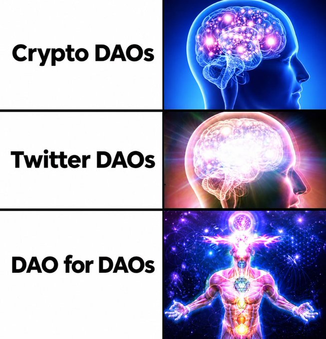 A three-panel 'expanding brain' meme shows escalating concepts: 'Crypto DAOs' with a brain, 'Twitter DAOs' with a glowing brain, and 'DAO for DAOs' with a cosmic body.