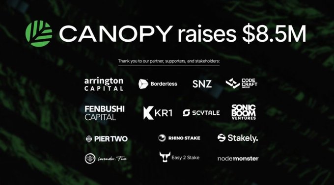 The image announces that CANOPY has raised $8.5M, displaying its logo alongside logos of partners and supporters including Arrington Capital, Borderless, SNZ, Core Craft, Fenbushi Capital, KR1, Scytale, Sonic Boom Ventures, Pier Two, Rhino Stake, Stakely, Cardano-Five, Easy 2 Stake, and nodemonster. The graphic reinforces the post's message about building coordinated ecosystems, as Canopy's $8.5M raise from a diverse group of Web3 investors demonstrates the collaborative network of infrastructure, developers, and stakeholders needed to create sustainable network effects.