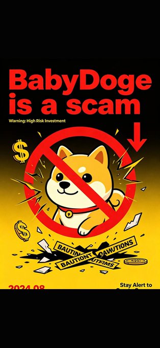 A warning graphic titled 'BabyDoge is a scam' features a Shiba Inu dog illustration behind a red prohibition symbol, with the text 'Warning: High Risk Investment' and '2024.08' on a yellow and black background.