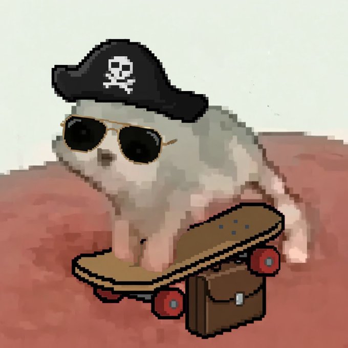 A fluffy white cat wearing sunglasses and a pirate hat stands on a skateboard next to a small brown briefcase.