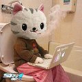 A Hello Kitty mascot in a pink dress sits using a laptop computer. The image ties into the "HYPE" reference, capturing the meme-like enthusiasm around finding "free money," with the playful mascot typing away as if cashing in on the trend.