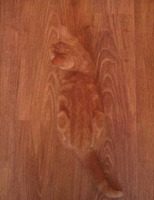 A close-up photograph of a wooden surface, possibly a table or floor, showing distinct grain patterns and a natural reddish-brown color.