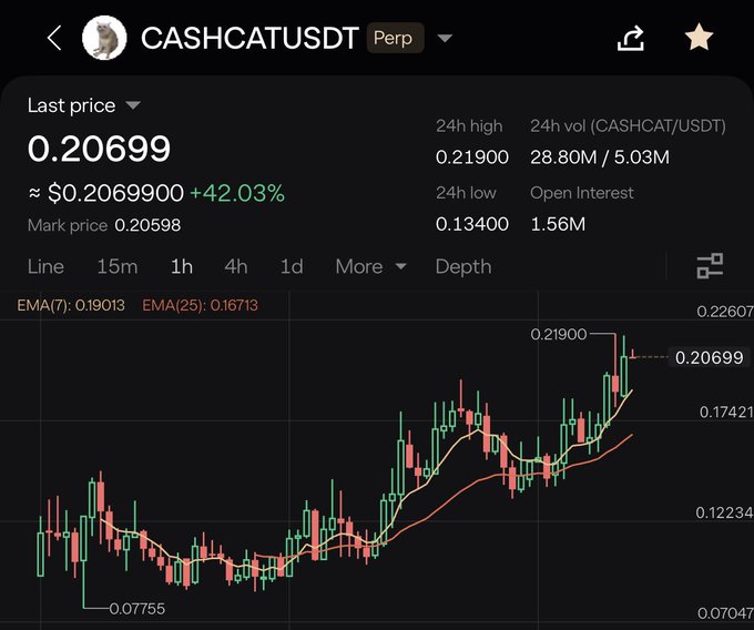 Trading chart for CASHCATUSDT perpetual contract showing last price of 0.20699 (+42.03%), 24h high of 0.21900, low of 0.13400, and volume of 28.80M/5.03M.