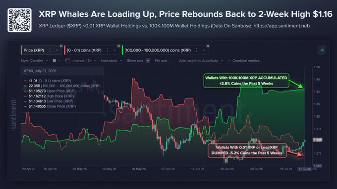 A chart from Santiment shows XRP wallet holdings diverging over a 5-week period: large whale wallets (100K–100M XRP) accumulated +2.8% (+22.35B coins), while small retail wallets (≤0.01 XRP) offloaded -5.2% (–1.13M coins), coinciding with XRP's price rebounding 11.92% to a 2-week high of $1.16212.