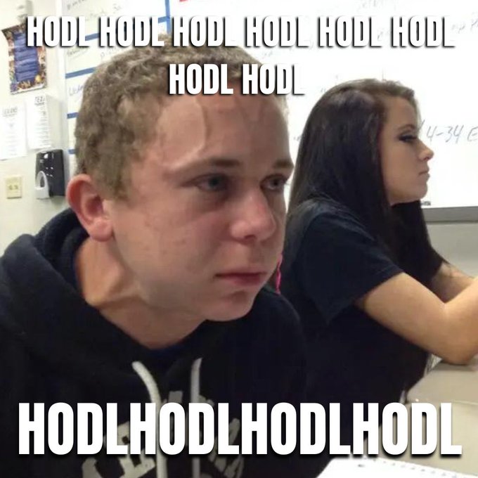 A young man in a black hoodie sits in a classroom with a frustrated expression, while a girl sits beside him. The image is overlaid with the text "HODL HODL HODL HODL HODL HODL HODL HODL" at the top and "HODLHODLHODLHODL" at the bottom, humorously referencing the well-known crypto "HODL" meme and its connection to the $HODL token mentioned in the post.