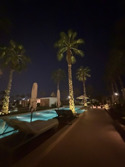 A nighttime poolside scene at a resort with illuminated palm trees and lounge chairs. The image evokes the post's "go outside and touch grass" message—contrasting the calm, tropical escape with the warning about misleading crypto pumps masking an impending market dump.
