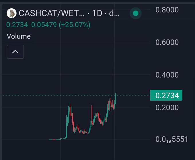 A cryptocurrency chart for CASHCAT/WETH shows a strong upward trend with the price reaching 0.2734, up 25.07% (0.05479) on the 1-day timeframe, supporting the celebratory "we are cooking" sentiment in the post.
