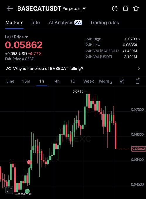 A Binance trading chart shows BASECATUSDT Perpetual down 4.27% to $0.05862 after reaching a 24-hour high of $0.0793, with the post jokingly begging to "send it back" to the recent highs. The chart's sharp red decline visually reinforces the meme's desperation for a price reversal.