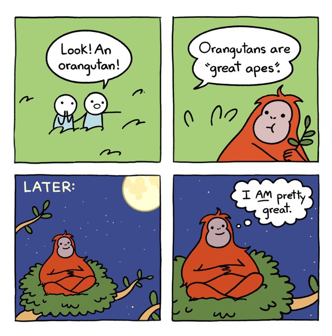 A four-panel comic strip featuring two stick figures spotting an orangutan who explains 'Orangutans are "great apes"', later thinking 'I AM pretty great' while sitting in a tree at night.