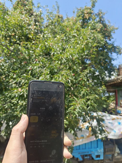 A hand holds a smartphone displaying a dark-themed app screen with Chinese text, including '请输入WAT' and '约00 USDT', set against a background of trees and a blue sky.