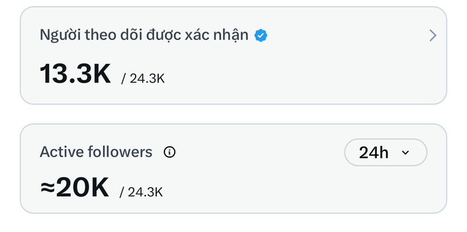 Social media analytics screenshot in Vietnamese showing verified followers at 13.3K/24.3K and active followers at approximately 20K/24.3K over 24 hours.