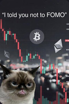 A grumpy cat appears over a candlestick chart with the caption "I told you not to FOMO" alongside Bitcoin and Ethereum logos, humorously warning against impulsive buying despite the post's announcement of BTC recovering above $60K and ETH and Solana posting notable gains.