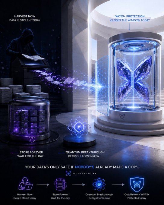 The image is a QuipNetwork promotional graphic illustrating the "harvest now, decrypt later" cybersecurity threat, showing a hooded figure stealing data into a "Store Forever" container, contrasted with a "Quantum Breakthrough" decryption threat, and protected by "QuipNetwork WOTS+ Protection" in a glowing cylinder. Key text includes "HARVEST NOW DATA IS STOLEN TODAY," "STORE FOREVER WAIT FOR THE DAY," "QUANTUM BREAKTHROUGH DECRYPT TOMORROW," and the tagline "YOUR DATA'S ONLY SAFE IF NOBODY'S ALREADY MADE A COPY," along with the ticker $QUIP and a four-step workflow diagram at the bottom.
