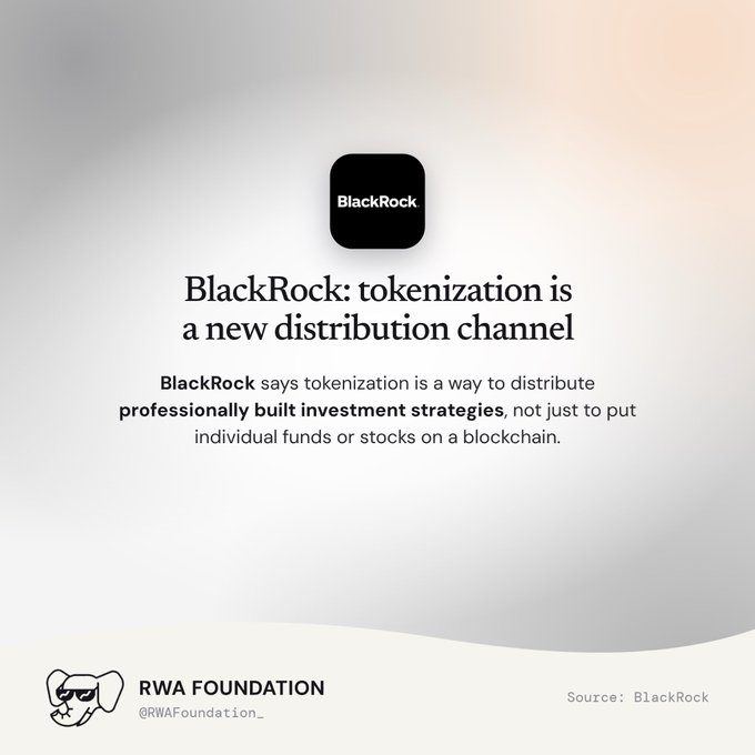 BlackRock logo with the headline 'BlackRock: tokenization is a new distribution channel', explaining tokenization as a way to distribute professionally built investment strategies, sourced from RWA Foundation.