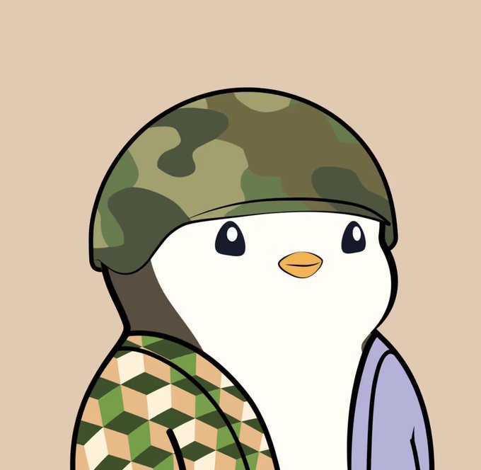 A digital illustration of a white bird character wearing a green camouflage helmet and vest over a light purple shirt, against a beige background.