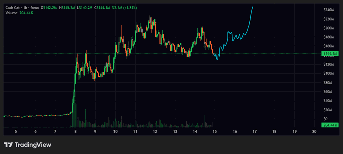 A TradingView candlestick chart of $CASHCAT (Cash Cat) shows a 30-minute price action with values ranging from approximately $140M to $240M, featuring a sharp price spike followed by consolidation and a recent breakout above the $144.3M resistance level with an 81.81% gain on 204.44K volume. The chart visually supports the post's claim of "the bottom," highlighting the significant upward breakout from the sideways consolidation pattern.