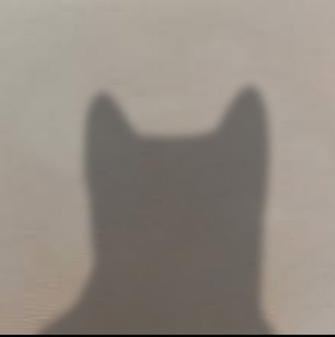 A blurry silhouette of a cat with pointed ears against a plain light background.