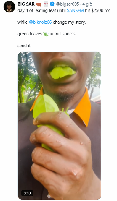 A social media post by BIG SAR (@bigsar005) about eating leaves to reach a 250b market cap, featuring a video thumbnail of a person holding green leaves.