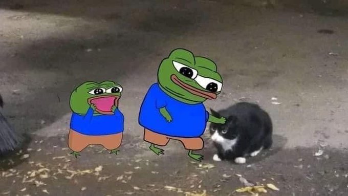 A humorous composite image showing two cartoon frogs from the Pepe meme superimposed onto a real-world background, where one frog reaches out to touch a black and white cat.