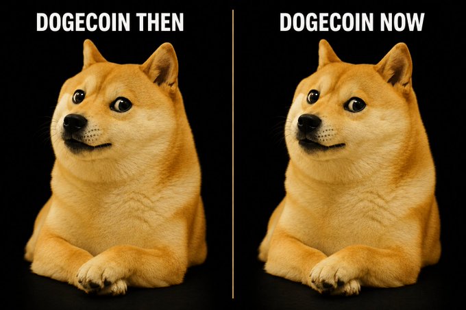 A side-by-side comparison meme of a Shiba Inu dog labeled 'DOGECOIN THEN' and another slightly different Shiba Inu labeled 'DOGECOIN NOW'.