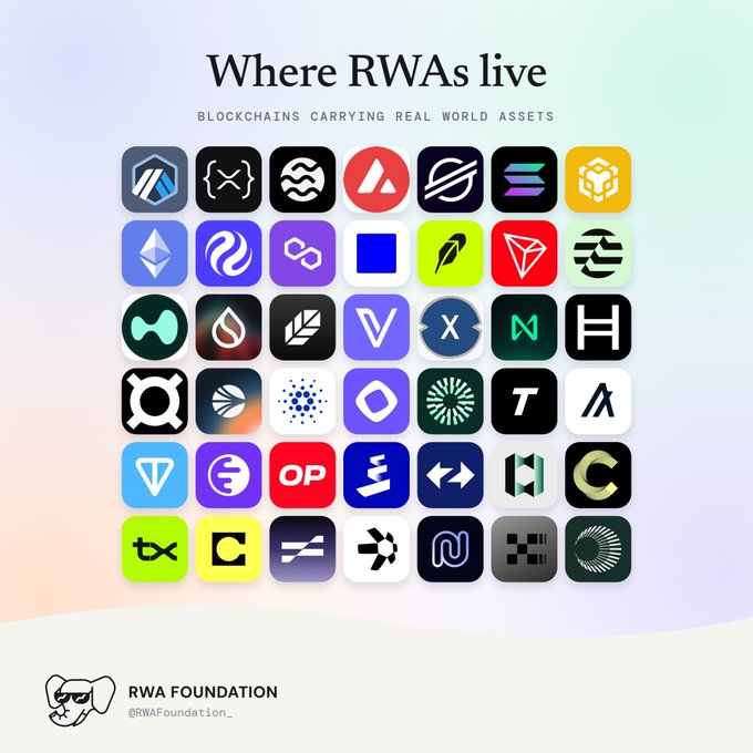 Infographic titled 'Where RWAs live' showing 49 blockchain logos that carry real world assets, credited to RWA Foundation.