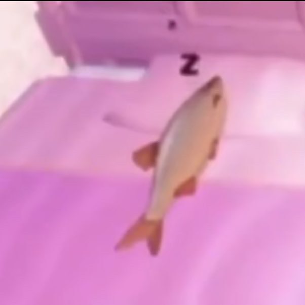 A fish appears to be sleeping in a pink bed, complete with a tiny "Z" above it indicating slumber. The post "i want whatever this fish has" humorously suggests the fish has achieved ultimate relaxation, making its carefree, sleeping lifestyle highly enviable.