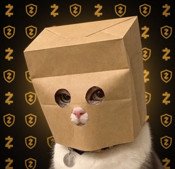 A close-up image shows a white cat with a brown paper bag over its head featuring cutouts for its eyes, set against a background of repeating Z-crypto logos.