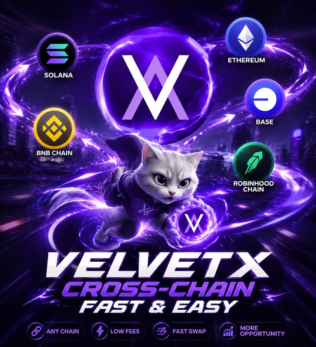 A promotional graphic for 'VELVETX' cryptocurrency cross-chain swap service featuring a flying cat mascot, highlighting supported chains like Solana, Ethereum, BNB, Base, and Robinhood Chain.
