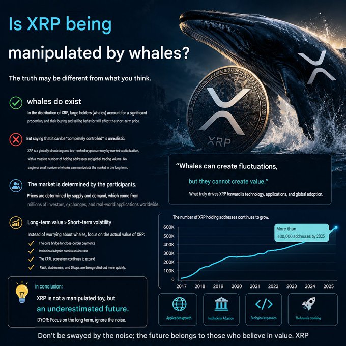 A dark-themed infographic titled "Is XRP being manipulated by whales?" featuring a breaching whale, an XRP coin, and a line graph showing XRP holding addresses growing from 0 in 2017 to over 600,000 by 2025, with bullet points arguing that whales do exist but cannot control the market long-term, and concluding that XRP represents "an underestimated future."