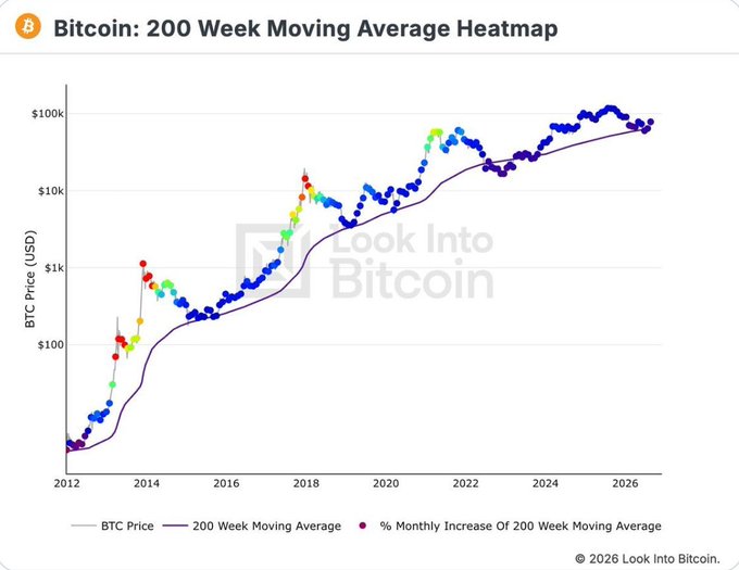 A 'Bitcoin: 200 Week Moving Average Heatmap' chart from Look Into Bitcoin showing BTC price in USD on a logarithmic scale from 2012 to 2026, with the 200-week moving average plotted as a purple line.