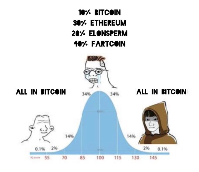 A humorous meme using the 'IQ bell curve' depicting two extremes both saying 'ALL IN BITCOIN' while a crying middle figure suggests a diversified portfolio of 10% Bitcoin, 30% Ethereum, 20% Elonsperm, and 40% Fartcoin.