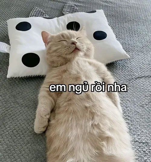 None