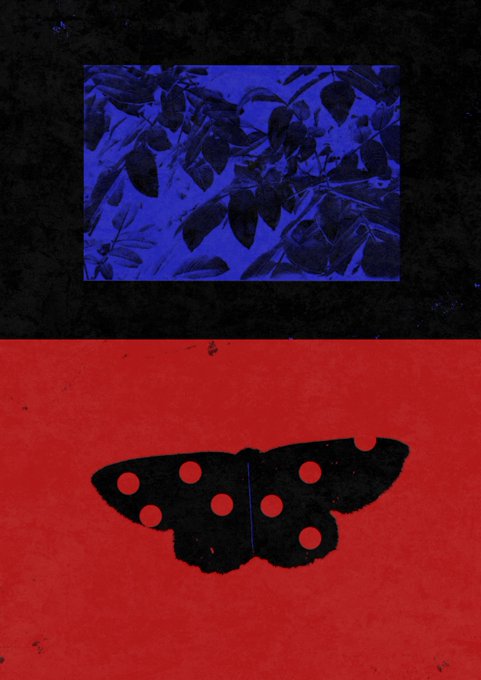 A stylized composition split into two sections: the top features blue-tinted leaves within a rectangular frame on a dark background, while the bottom displays a black butterfly silhouette with red circular cutouts against a solid red background.
