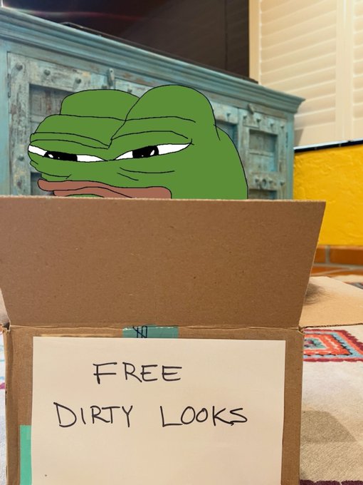 A Pepé the Frog meme edited to look like he is sitting in a cardboard box with a handwritten sign reading 'FREE DIRTY LOOKS'.