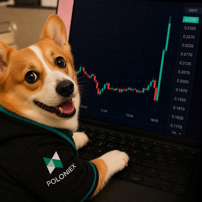 A cheerful Corgi wearing a "POLONIEX" hoodie sits excitedly in front of a laptop displaying a USDT candlestick chart with prices ranging from 0.1770 to 0.2367 and a sharp upward spike near the 18:00 mark. The image ties into the meme by presenting the Corgi as the hype-driven "black dog" of crypto trading—capturing the $MANYU/$Shiba energy of a small dog celebrating a moon-shot-style price surge on Poloniex.