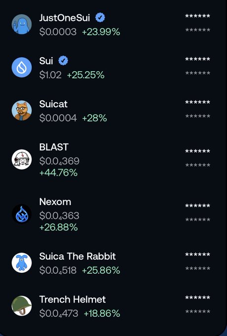 A crypto app screen listing meme tokens including JustOneSui ($0.0003, +23.99%), Sui ($1.02, +25.25%), Suicat ($0.0004, +28%), BLAST ($0.0369, +44.76%), Nexom ($0.0363, +26.88%), Suica The Rabbit ($0.0518, +25.86%), and Trench Helmet ($0.0473, +18.86%).