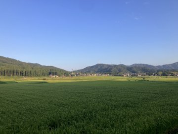A scenic landscape photo showing a lush green rice field in the foreground with mountains and a clear blue sky in the background, likely in the Japanese countryside.