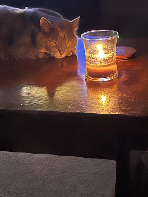The image features an orange cat sleeping peacefully next to a candle on a wooden table. The scene appears to be set at night with the warm glow of the lit candle providing a cozy atmosphere. In the background, there are two small objects - one is a cup and the other is a coaster. The image also contains text that reads "AI is quietly rewriting entire crypto script. X payments going live + verified follows that actually mean something = real connections in a sea of noise." This message seems to be related to the cat's presence, as it suggests that AI might be influencing or controlling certain aspects of the scene, such as the candlelight and the objects on the table.