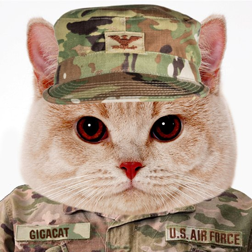 A humorous edited image of an orange cat wearing a camouflage U.S. Air Force cap and uniform, with name patches reading 'GIGACAT' and 'U.S. AIR FORCE'.