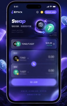 A smartphone screen displays the 'Envvx' cryptocurrency swap application interface, showing exchange options for TDND/TUSDT and TON2 with an 'Infinite Labs' badge at the top.