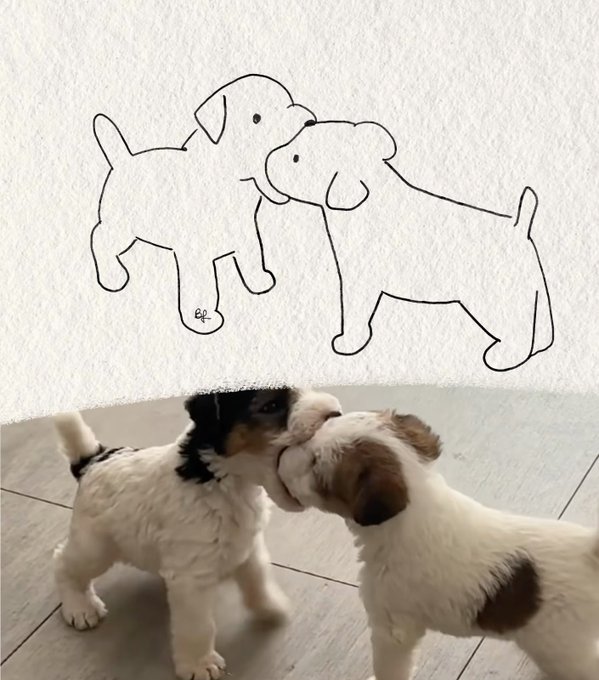 A side-by-side comparison showing a simple line drawing of two dogs above a photograph of two real puppies (a black and white one and a brown and white one) touching noses.