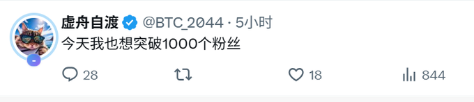 A tweet from verified user @BTC_20444 (虚舟自渡) posted 5 hours ago reads '今天我也想突破1000个粉丝' (Today I also want to surpass 1000 followers), with 28 comments, 18 likes, and 844 views.