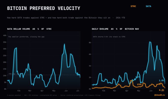 A chart titled 'BITCOIN PREFERRED VELOCITY' comparing SATA vs STRC trading activity YTD 2026, showing 'SATA DOLLAR VOLUME AS % OF STRC' and 'DAILY VOLUME AS % OF BITCOIN NAV' with the handle @damBtc.