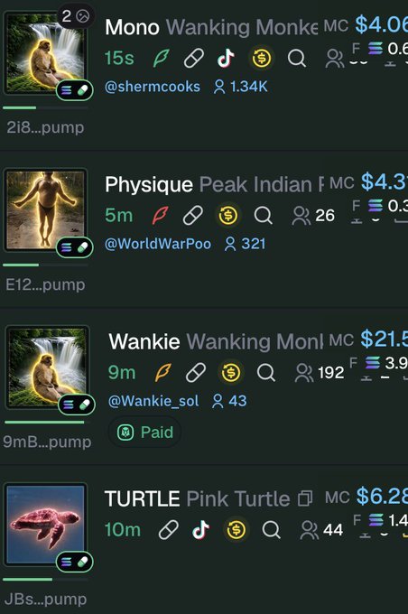 A screenshot of a meme token trading platform listing several coins including 'Mono Wanking Monke' (MC $4.06), 'Physique Peak Indian' (MC $4.3), 'Wankie Wanking Monk' (MC $21.5), and 'TURTLE Pink Turtle' (MC $6.28).